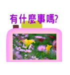 Color taro flower language（個別スタンプ：17）