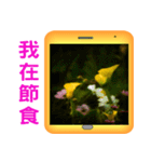 Color taro flower language（個別スタンプ：23）