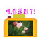 Color taro flower language（個別スタンプ：25）