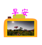 Color taro flower language（個別スタンプ：28）