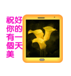 Color taro flower language（個別スタンプ：30）