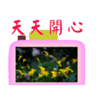 Color taro flower language（個別スタンプ：31）