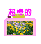 Color taro flower language（個別スタンプ：34）