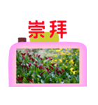 Color taro flower language（個別スタンプ：35）
