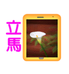 Color taro flower language（個別スタンプ：36）