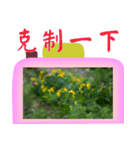 Color taro flower language（個別スタンプ：37）