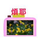 Color taro flower language（個別スタンプ：38）