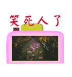 Color taro flower language（個別スタンプ：40）