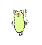 毛玉くま（個別スタンプ：22）