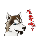 Home has hot dog（個別スタンプ：2）