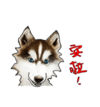 Home has hot dog（個別スタンプ：4）