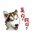 Home has hot dog（個別スタンプ：5）