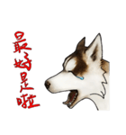 Home has hot dog（個別スタンプ：6）