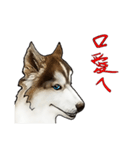Home has hot dog（個別スタンプ：7）