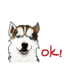 Home has hot dog（個別スタンプ：8）
