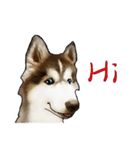 Home has hot dog（個別スタンプ：10）