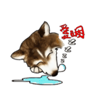 Home has hot dog（個別スタンプ：12）