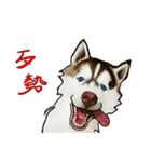 Home has hot dog（個別スタンプ：13）