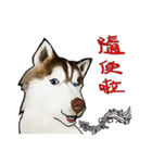 Home has hot dog（個別スタンプ：18）