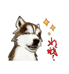 Home has hot dog（個別スタンプ：22）