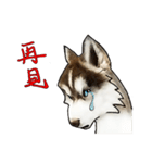 Home has hot dog（個別スタンプ：23）