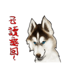 Home has hot dog（個別スタンプ：25）