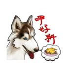Home has hot dog（個別スタンプ：26）
