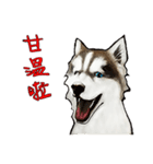 Home has hot dog（個別スタンプ：27）