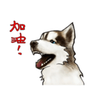 Home has hot dog（個別スタンプ：28）