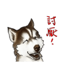 Home has hot dog（個別スタンプ：30）