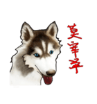 Home has hot dog（個別スタンプ：33）