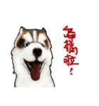 Home has hot dog（個別スタンプ：34）