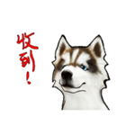 Home has hot dog（個別スタンプ：35）