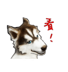 Home has hot dog（個別スタンプ：36）