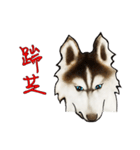Home has hot dog（個別スタンプ：37）