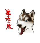 Home has hot dog（個別スタンプ：38）