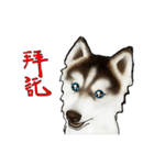 Home has hot dog（個別スタンプ：40）