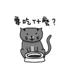 Cat Lovers' Daily Dialogue（個別スタンプ：2）