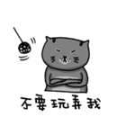 Cat Lovers' Daily Dialogue（個別スタンプ：3）