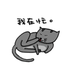 Cat Lovers' Daily Dialogue（個別スタンプ：4）
