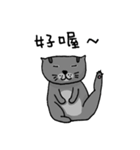 Cat Lovers' Daily Dialogue（個別スタンプ：5）