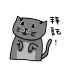 Cat Lovers' Daily Dialogue（個別スタンプ：9）