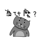 Cat Lovers' Daily Dialogue（個別スタンプ：10）