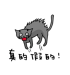 Cat Lovers' Daily Dialogue（個別スタンプ：12）
