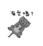 Cat Lovers' Daily Dialogue（個別スタンプ：13）
