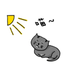 Cat Lovers' Daily Dialogue（個別スタンプ：16）