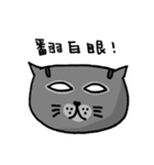Cat Lovers' Daily Dialogue（個別スタンプ：17）