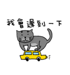 Cat Lovers' Daily Dialogue（個別スタンプ：18）