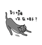 Cat Lovers' Daily Dialogue（個別スタンプ：19）