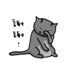 Cat Lovers' Daily Dialogue（個別スタンプ：21）